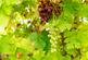 DSC09192-HDR.jpg