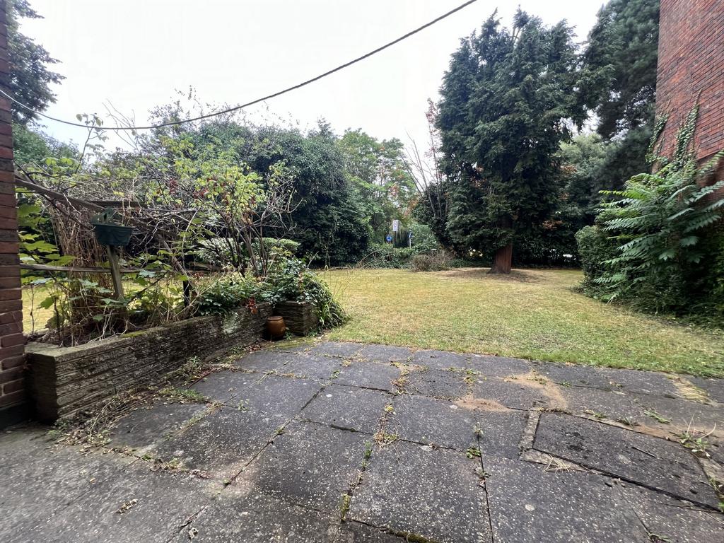 Patio Area