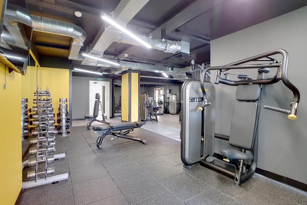 1 Gym 1 1