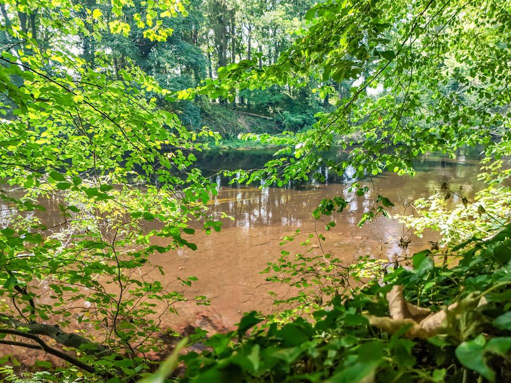 Riverside Walk