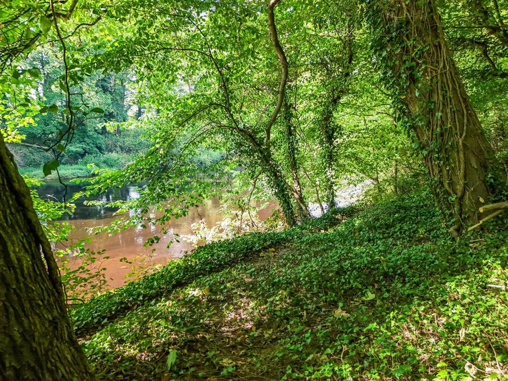 Riverside Walk