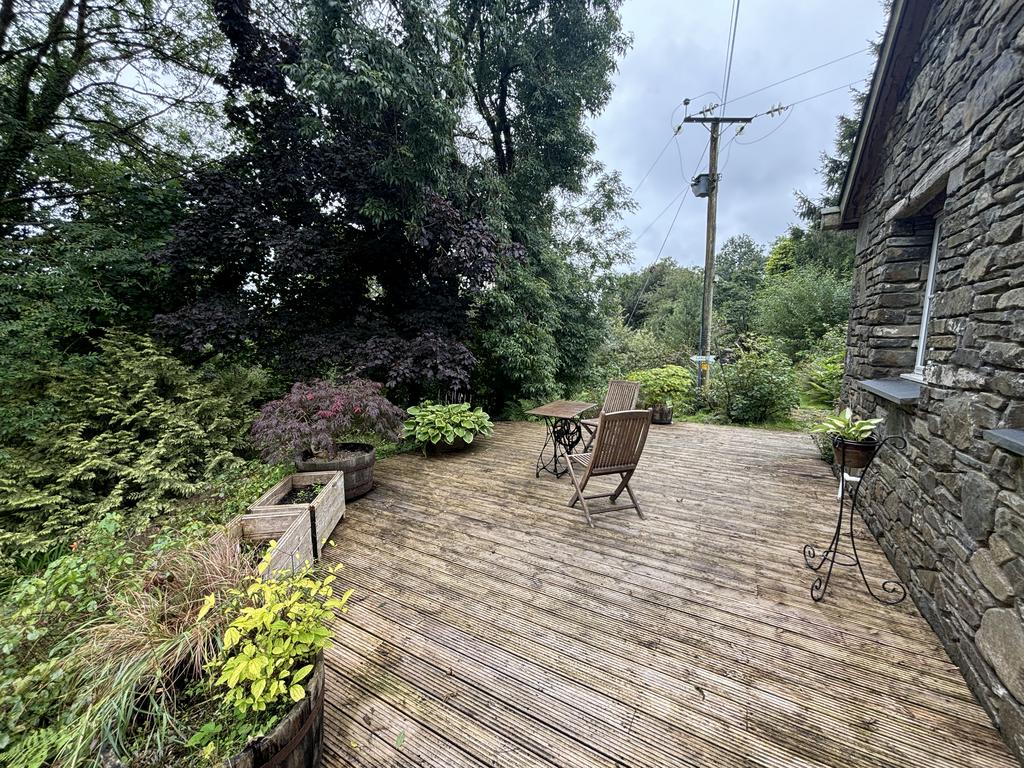 Tree top patio