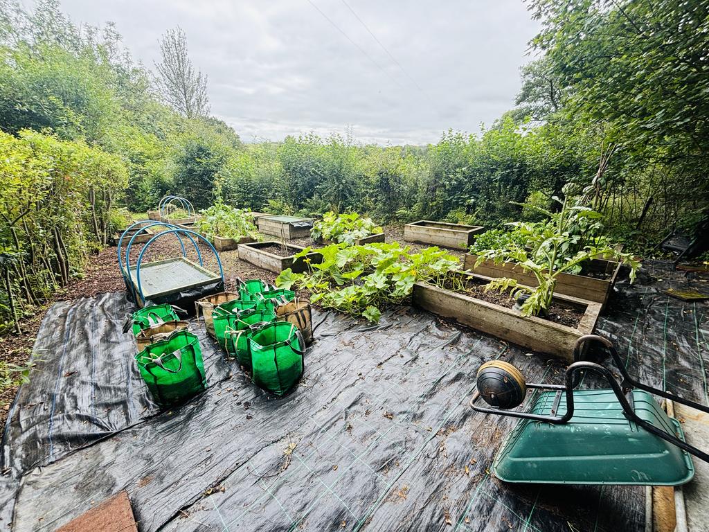 Vegetable garden