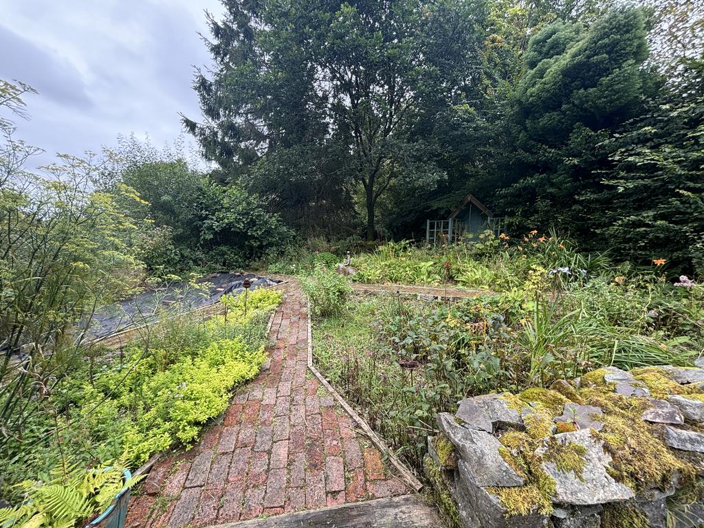 Welsh wildlife garden