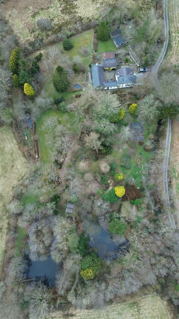 Welsh wildlife garden