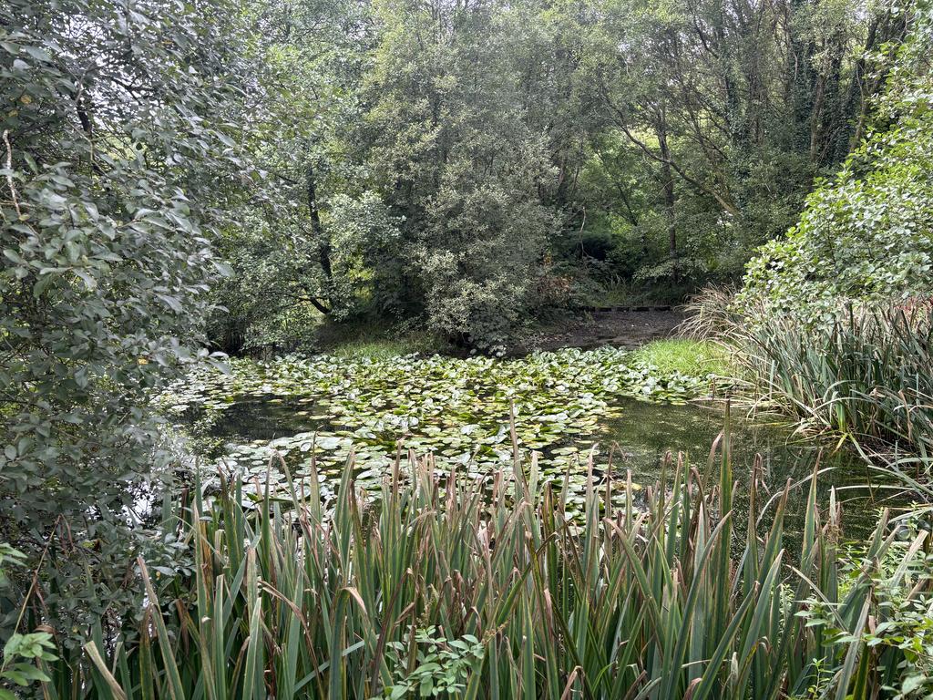 Lakes