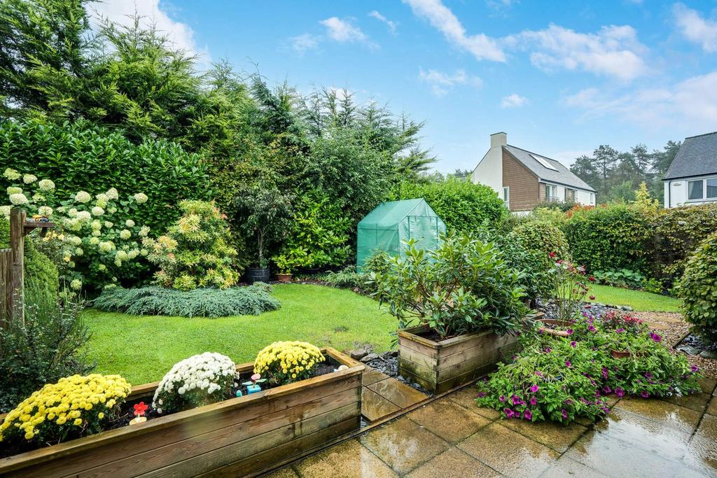 Back garden