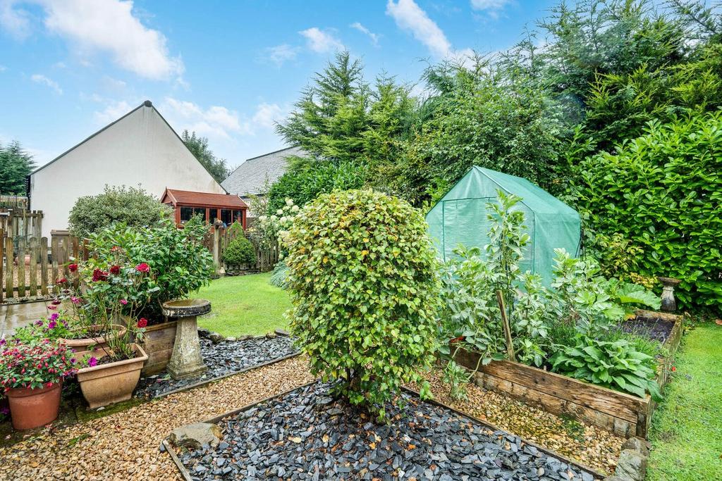 Back garden