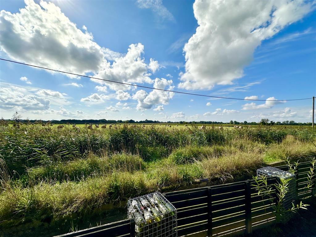 Farmland views