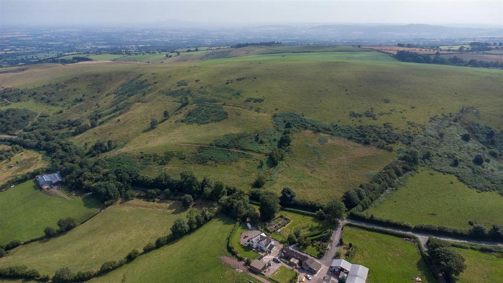 DJI 0866.jpg