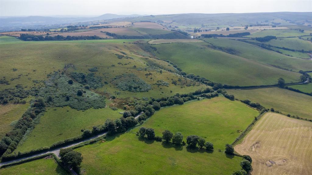 DJI 0864.jpg