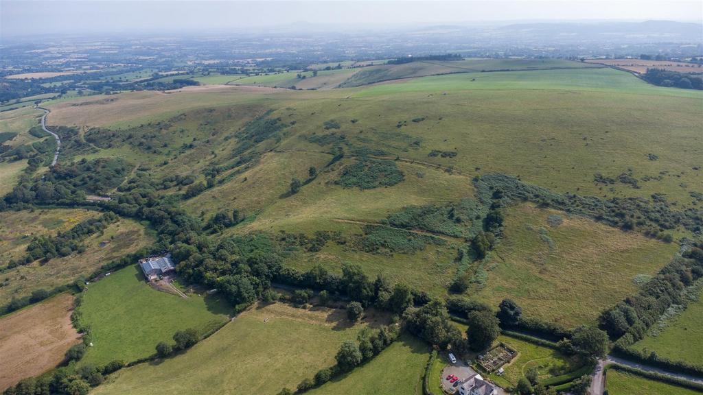 DJI 0868.jpg