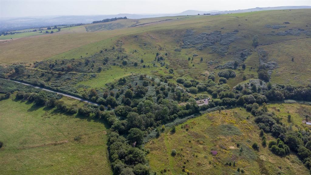 DJI 0855.jpg