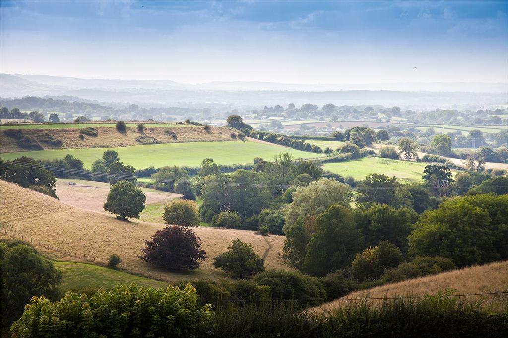 View from the house