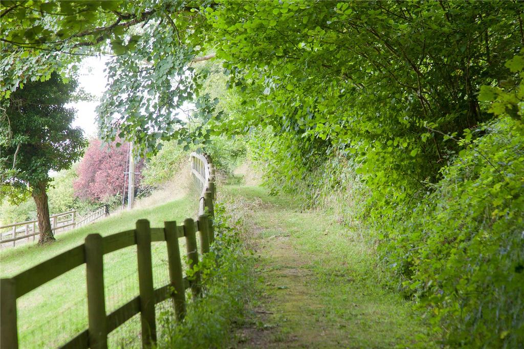 Woodland