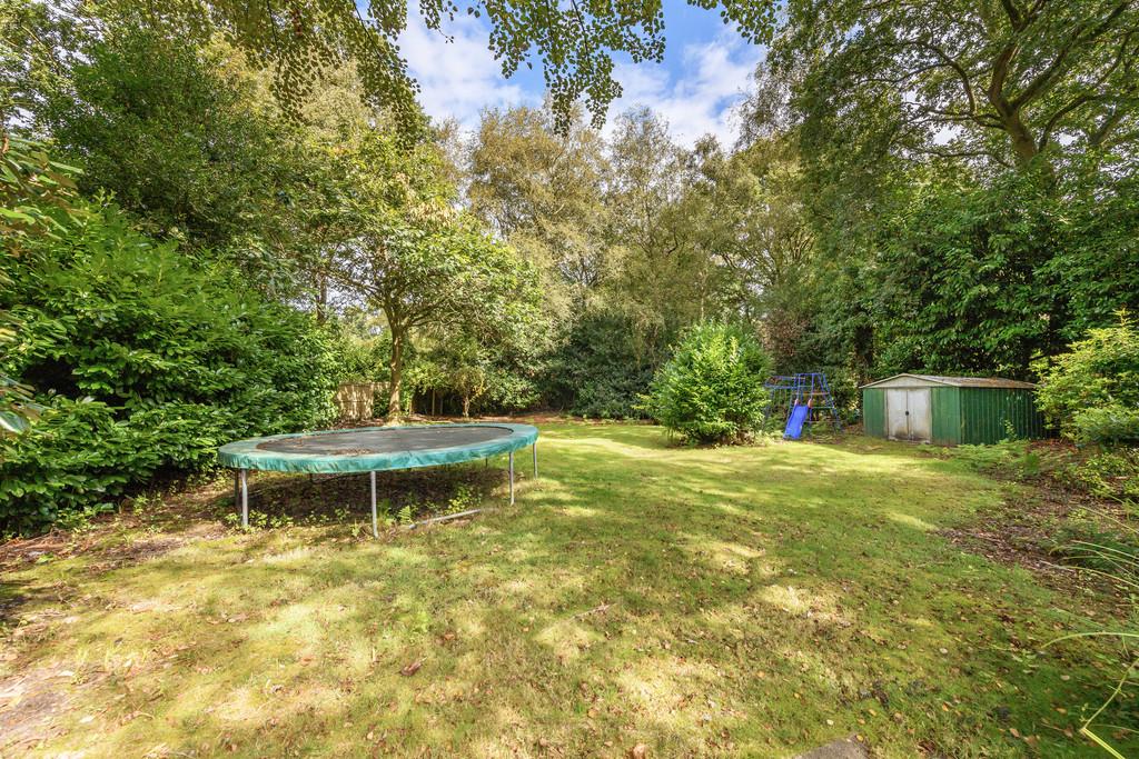 Back Garden