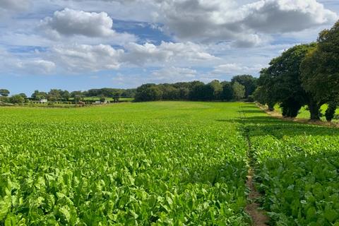 Farm land for sale, 7.34 Ha (18.13Ac), North Walsham Road, Paston, North Walsham, Norfolk, NR28