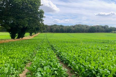 Farm land for sale, 7.34 Ha (18.13Ac), North Walsham Road, Paston, North Walsham, Norfolk, NR28