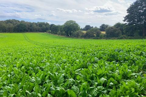 Farm land for sale, 7.34 Ha (18.13Ac), North Walsham Road, Paston, North Walsham, Norfolk, NR28