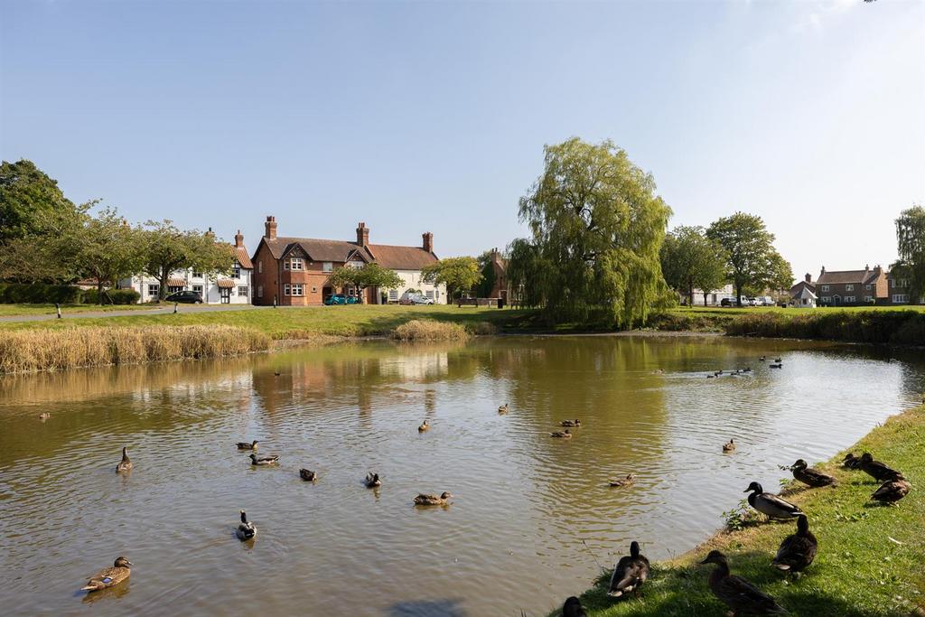 Village duck pond