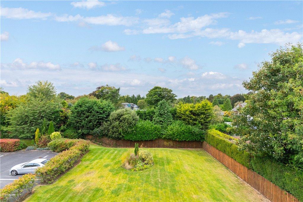 Communal Garden