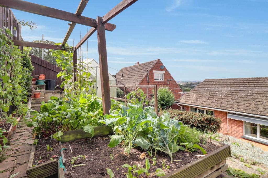 Vegetable Patch