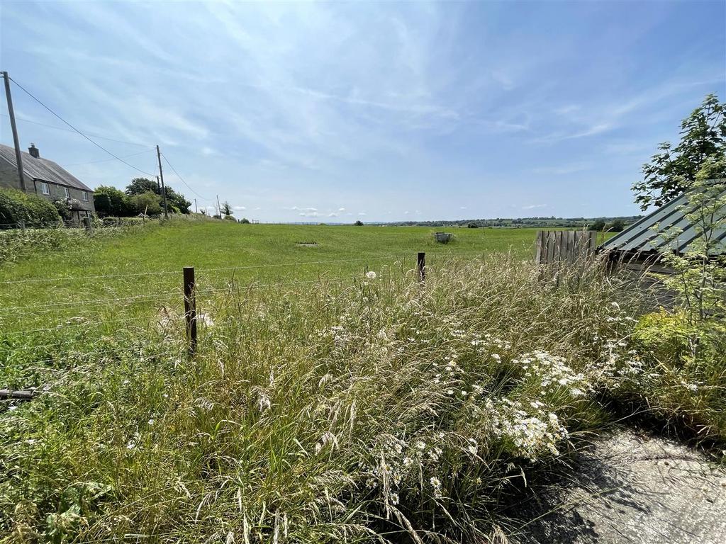 View From Garden