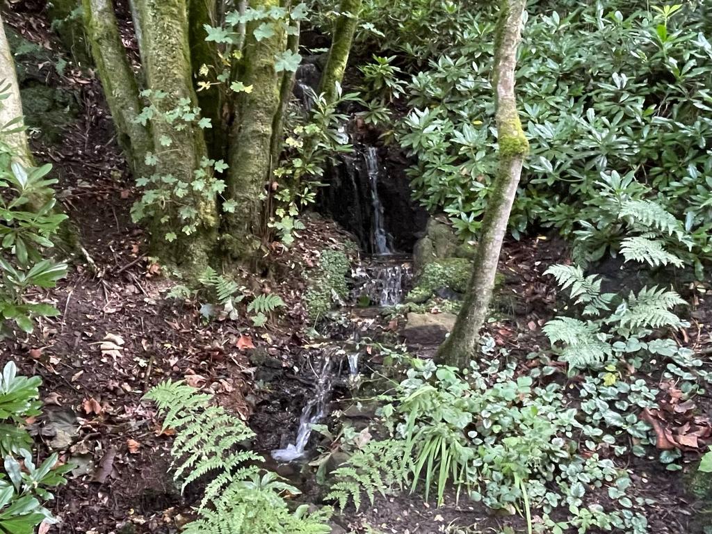 Secret Garden Waterfall