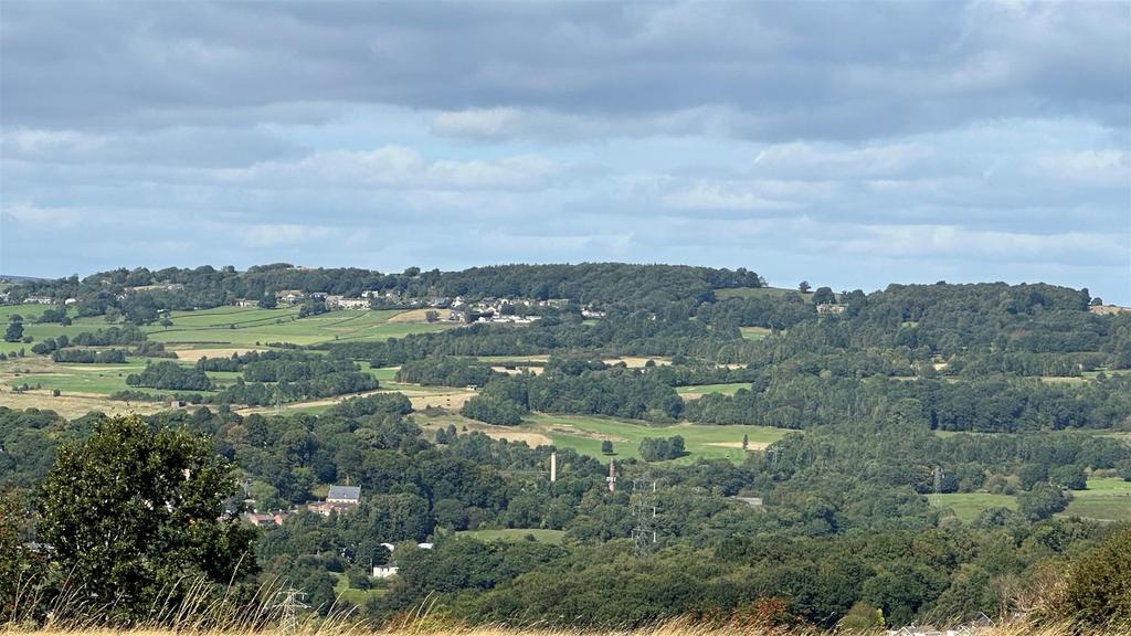 View.jpg