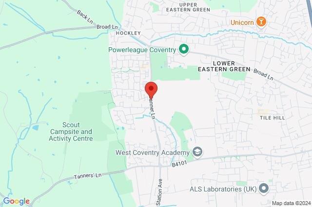 Google Maps Image