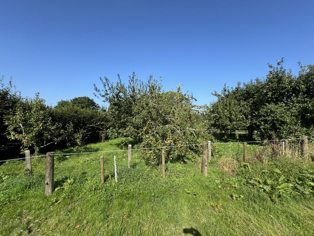 Side Orchard