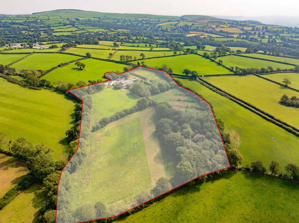 The land