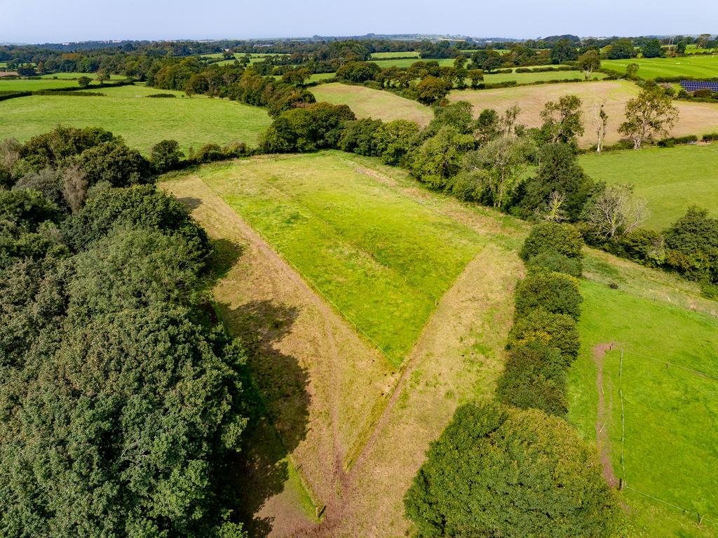 The land