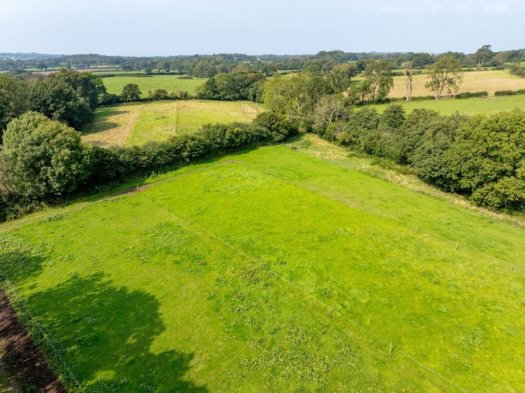 The land