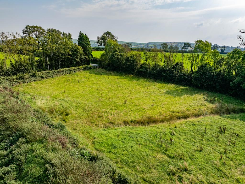 The land