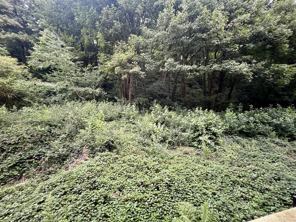 View.jpg