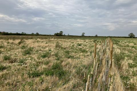 Land for sale, Claypole, Newark, Nottinghamshire, NG23