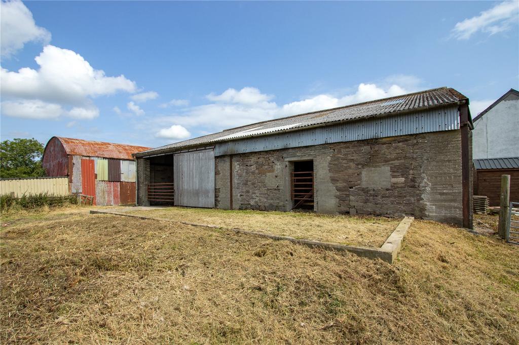Cattle Court