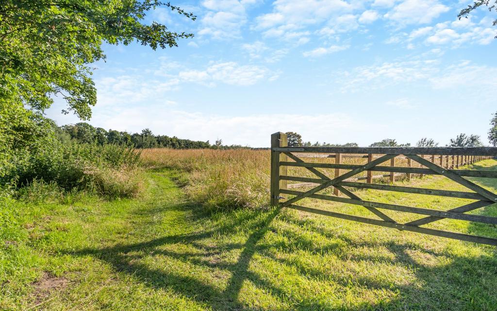 Grounds