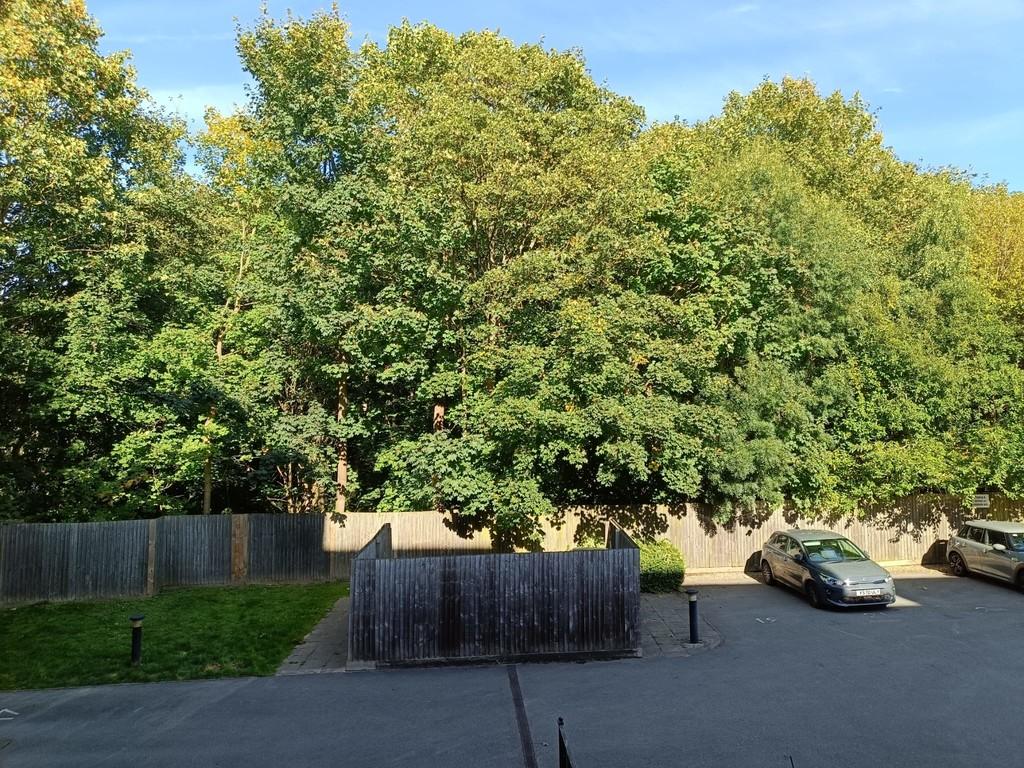 Img 20240903 wa0003