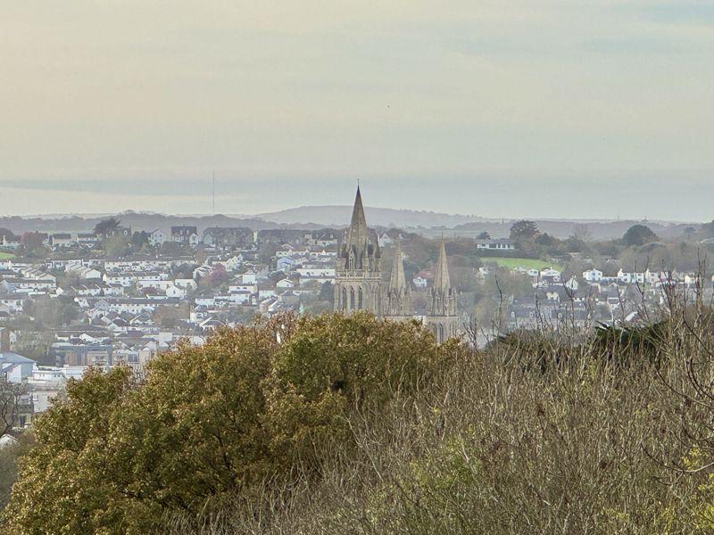 Cathedral View