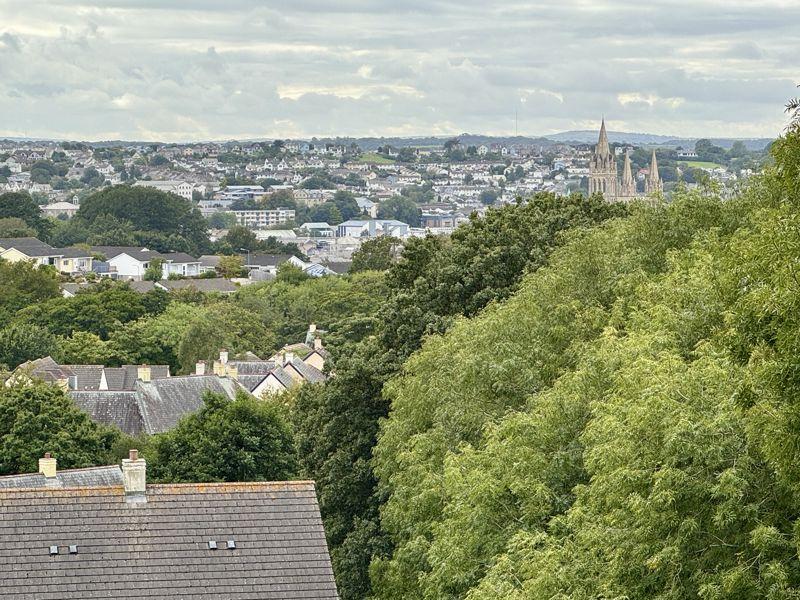 Cathedral View