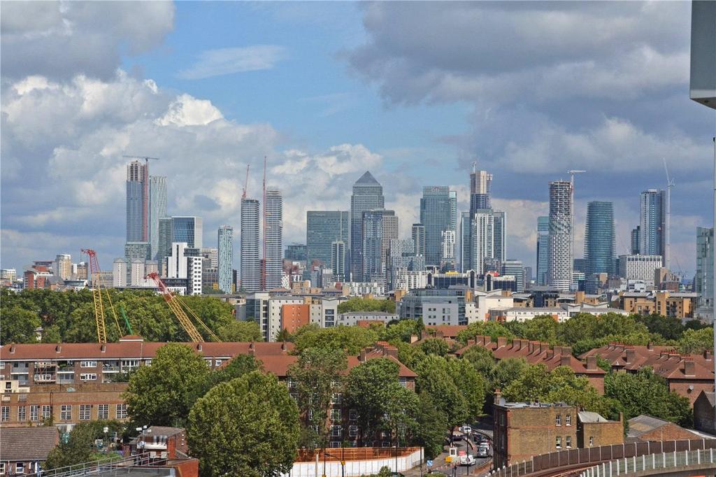 Roof Terrace View
