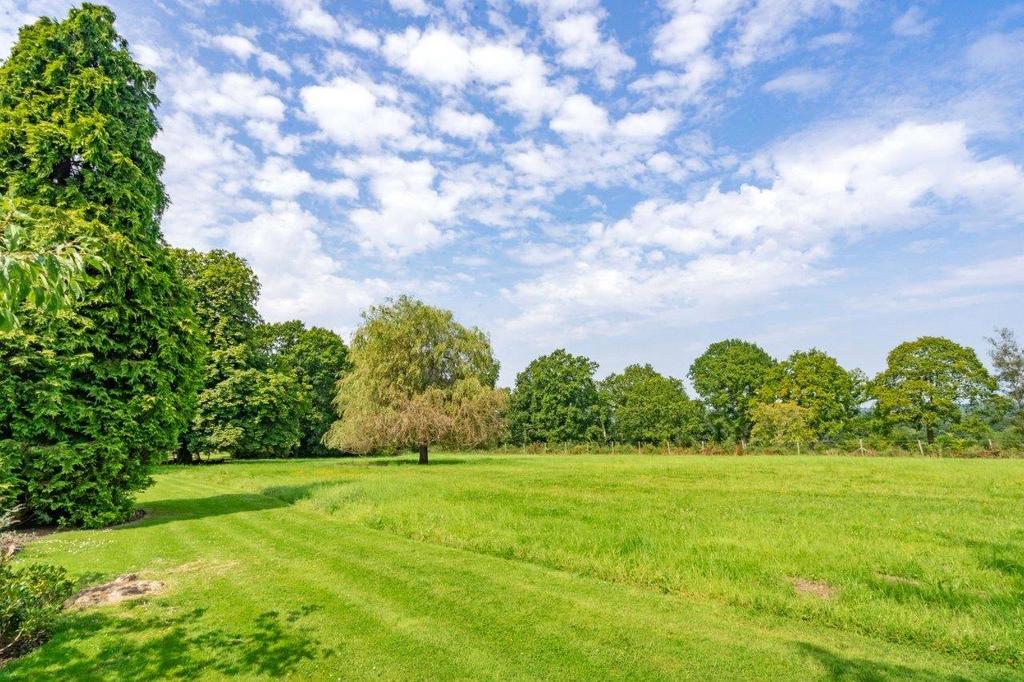 Communal Meadow