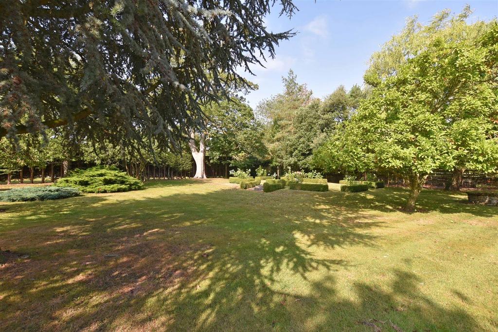 Front Garden.jpg