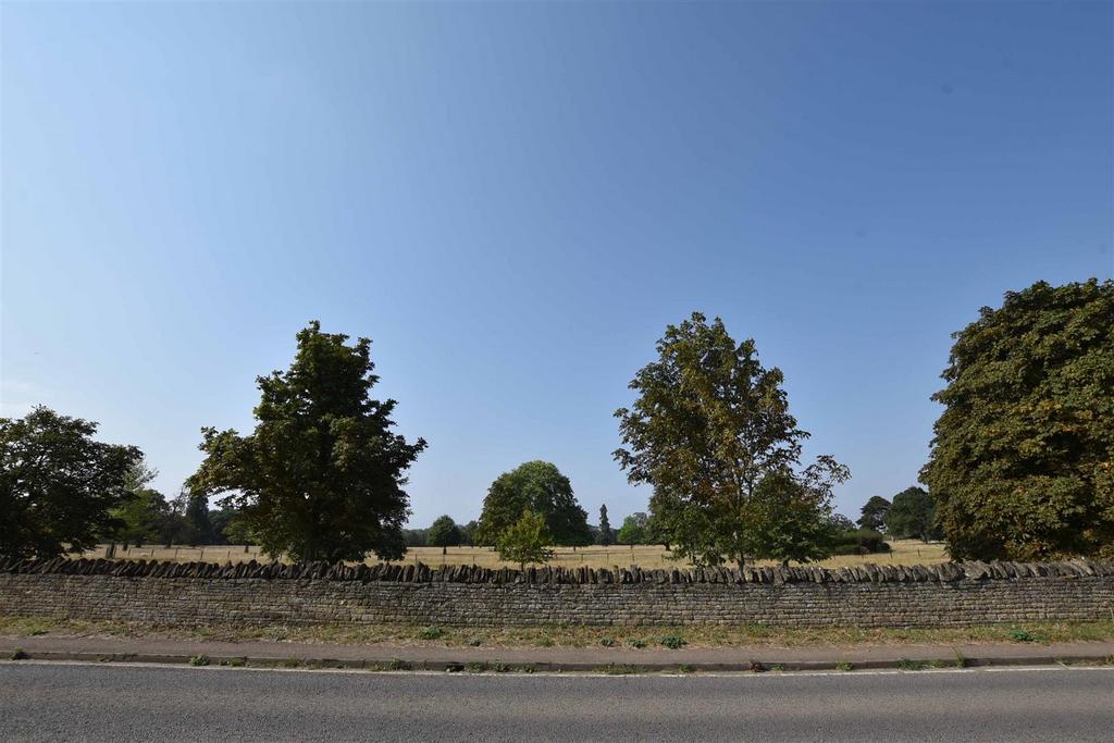 View From Driveway.jpg