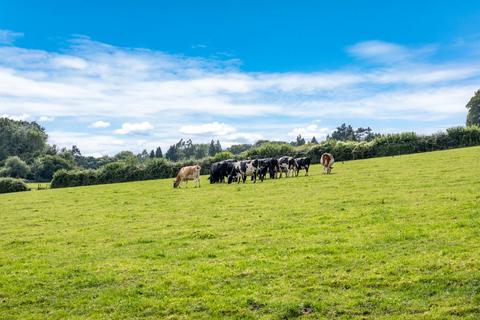 Land for sale, Boughspring, Chepstow, Gloucestershire