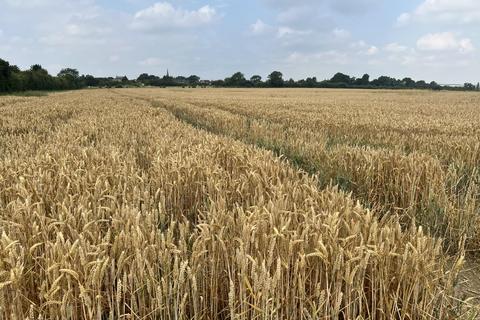 Farm land for sale, Caldecott