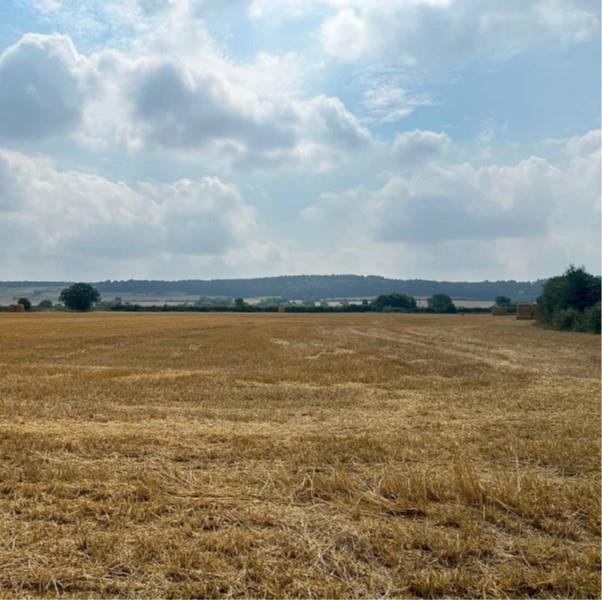 Picture3.jpg