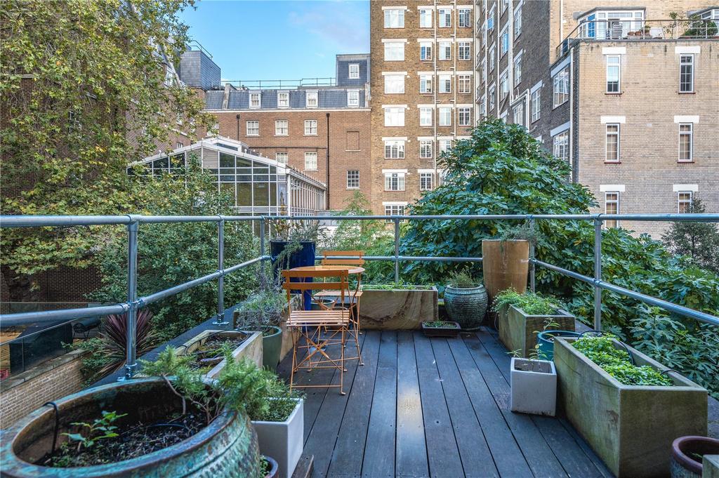 Roof Terrace